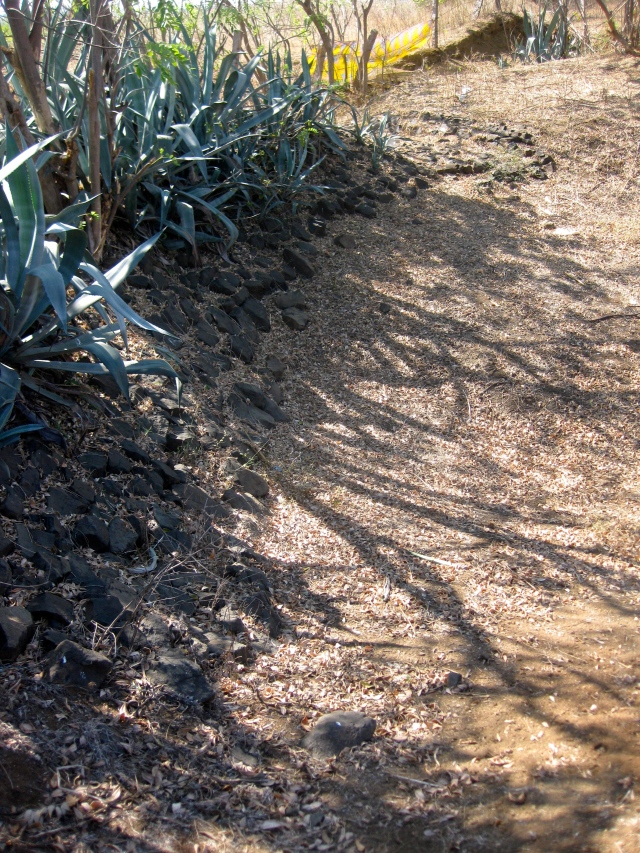 The stones and agave plants act as a wall of the percolation tank.