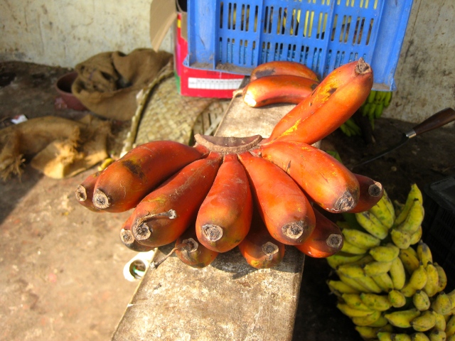 Specialty red bananas.